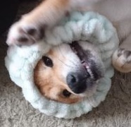 つむぎ